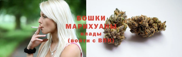 бошки Бородино