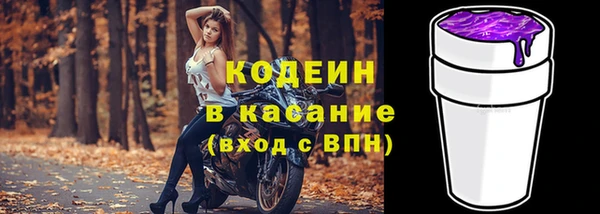 бошки Бородино