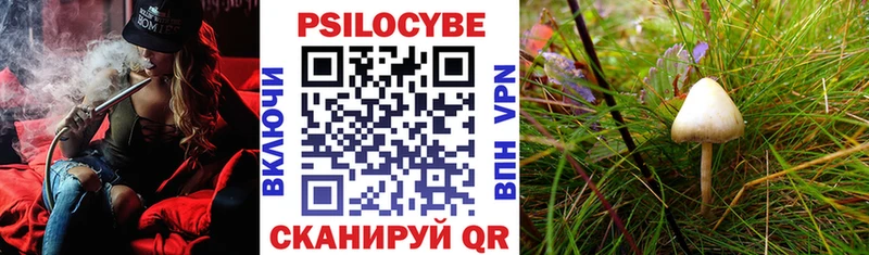 Псилоцибиновые грибы мухоморы  Весьегонск 